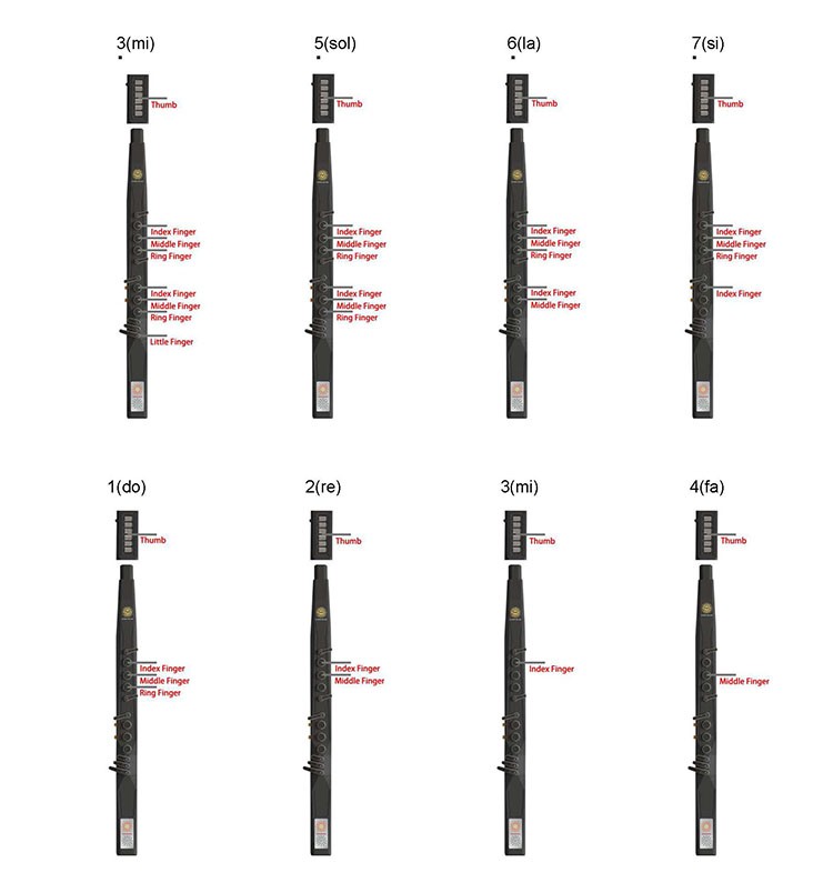 Cucurbit flute fingering 1