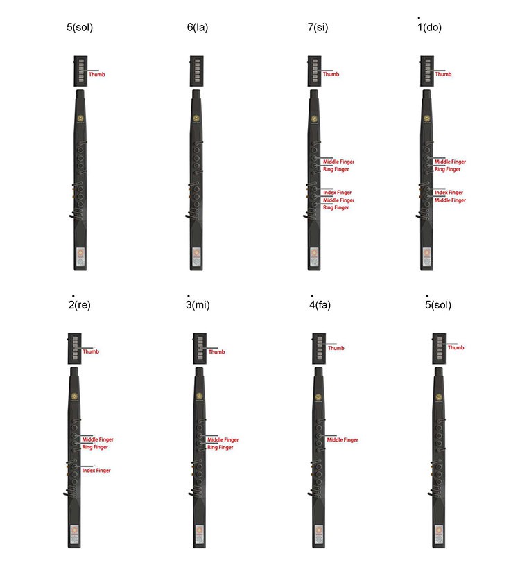 Cucurbit flute fingering 2